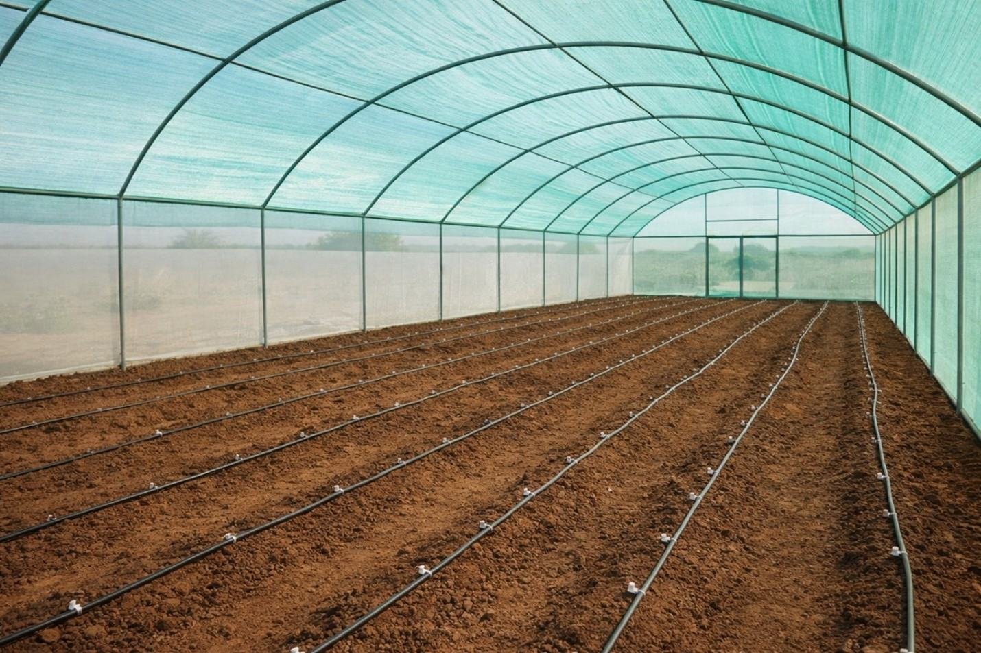 Smart Greenhouse image 2